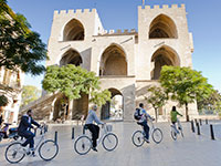 Tour de Valencia a Pie y en Bici